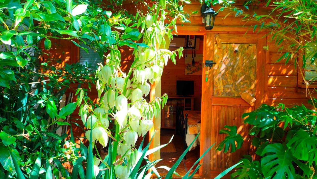 Le Portel Des Arnaud Chambres D'Hotes Durfort-et-Saint-Martin-de-Sossenac 外观 照片